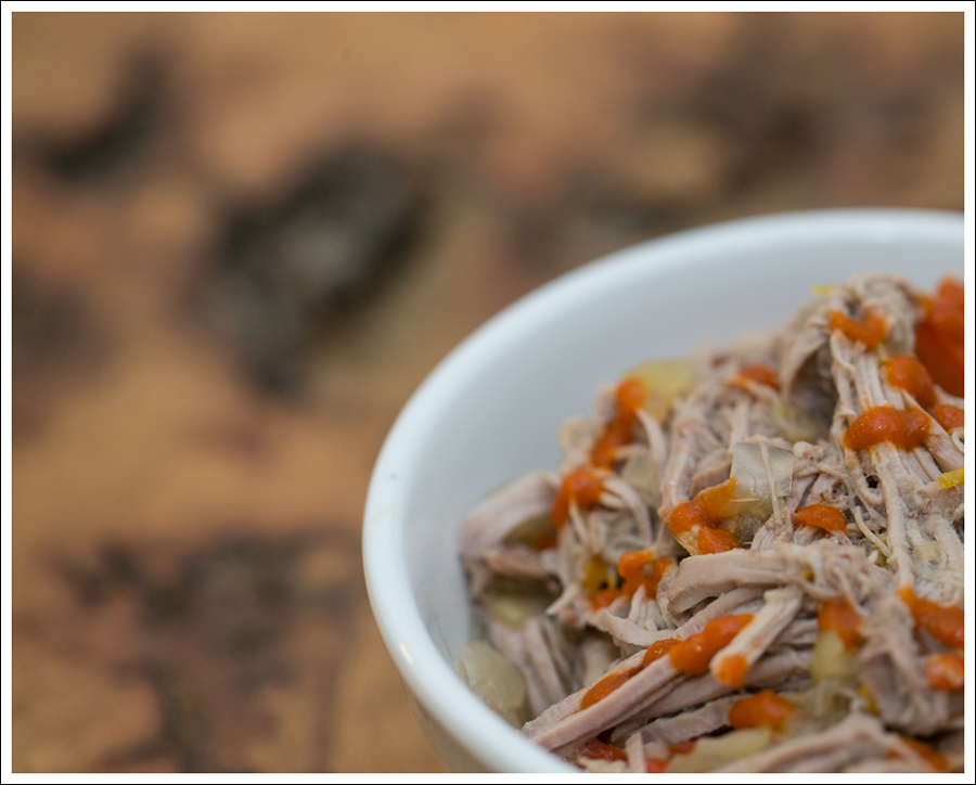 Blog Paleo Crock Pot Slow Cooker Pulled Pork with Apples Onions and Peppers-4