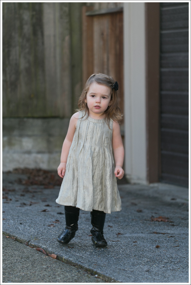 blog-joie-silk-dress-9