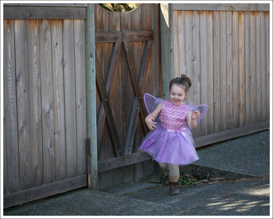 Blog Fairy Costume-1