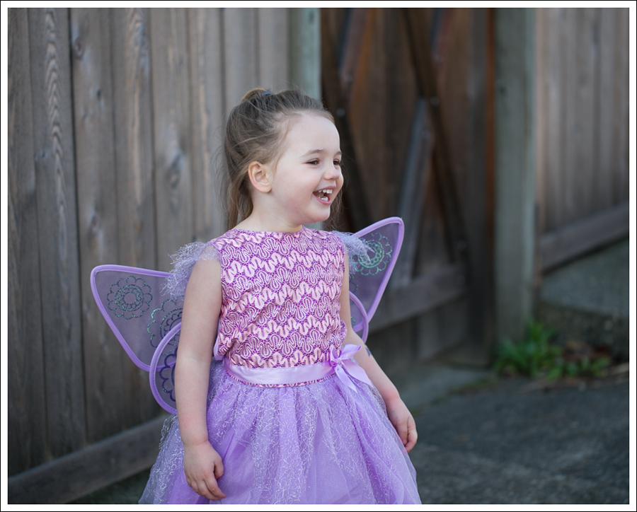 Blog Fairy Costume-10