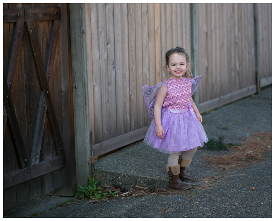 Blog Fairy Costume-11