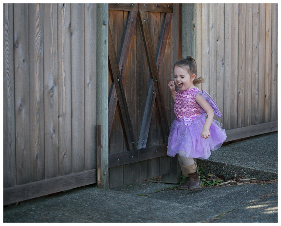 Blog Fairy Costume-2