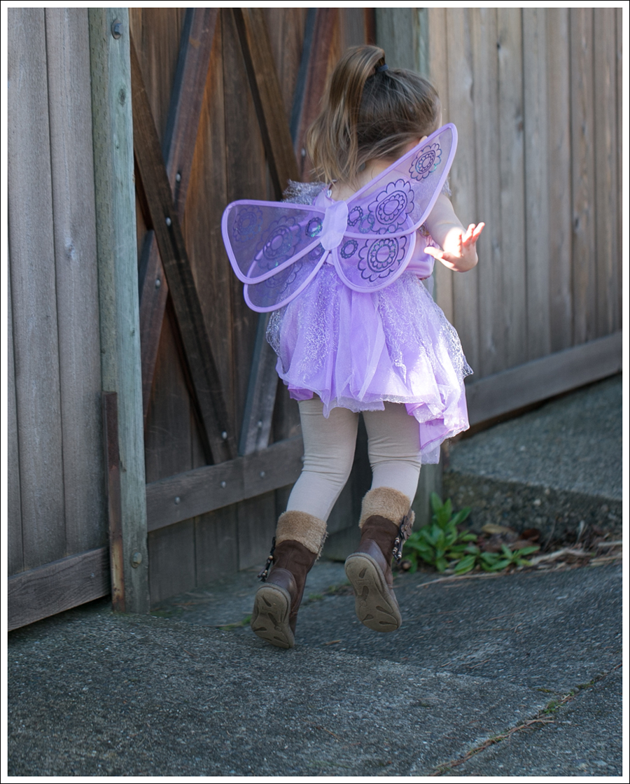 Blog Fairy Costume-3