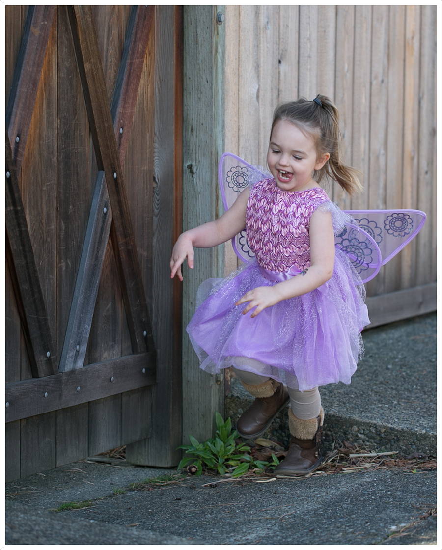 Blog Fairy Costume-4