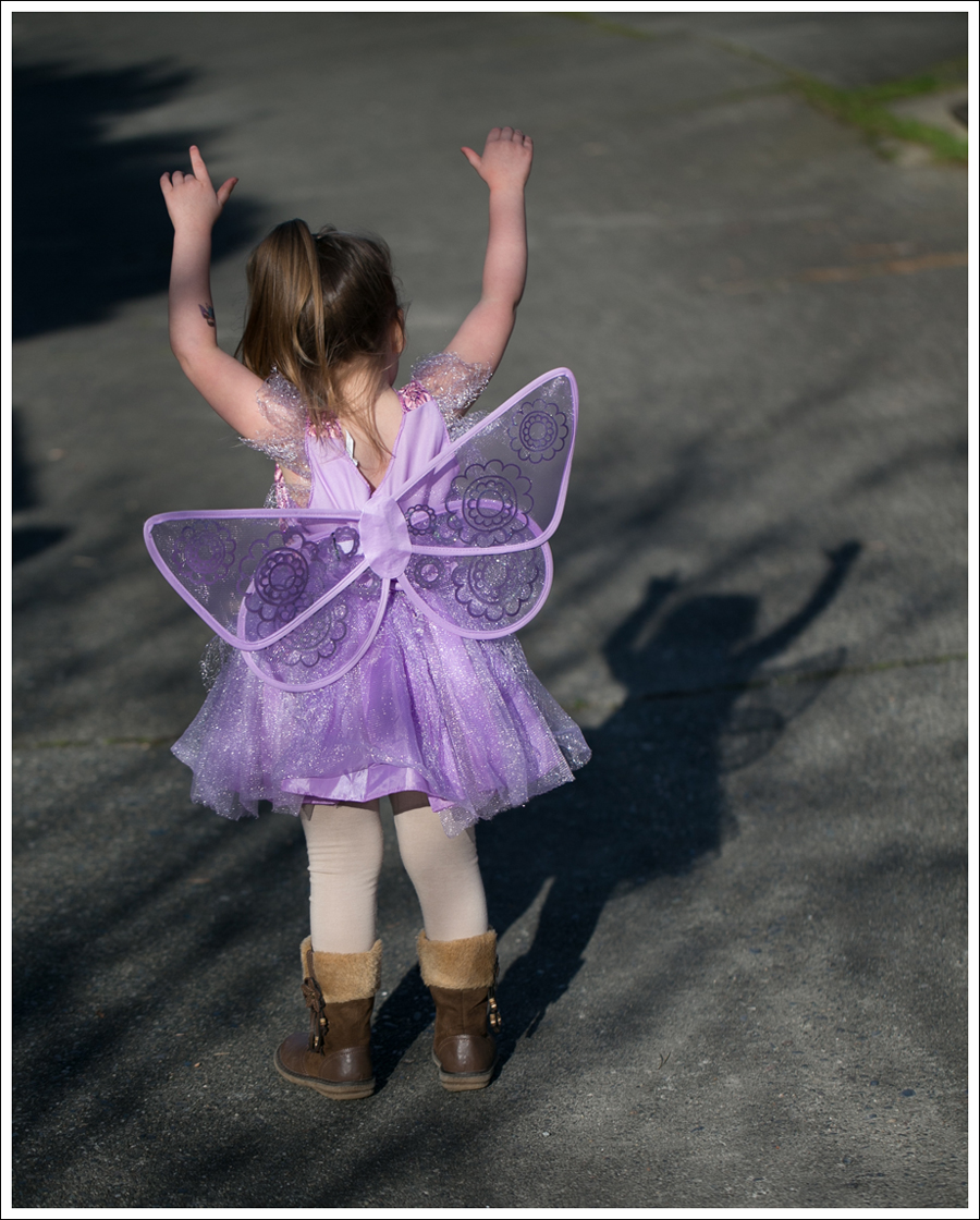 Blog Fairy Costume-5