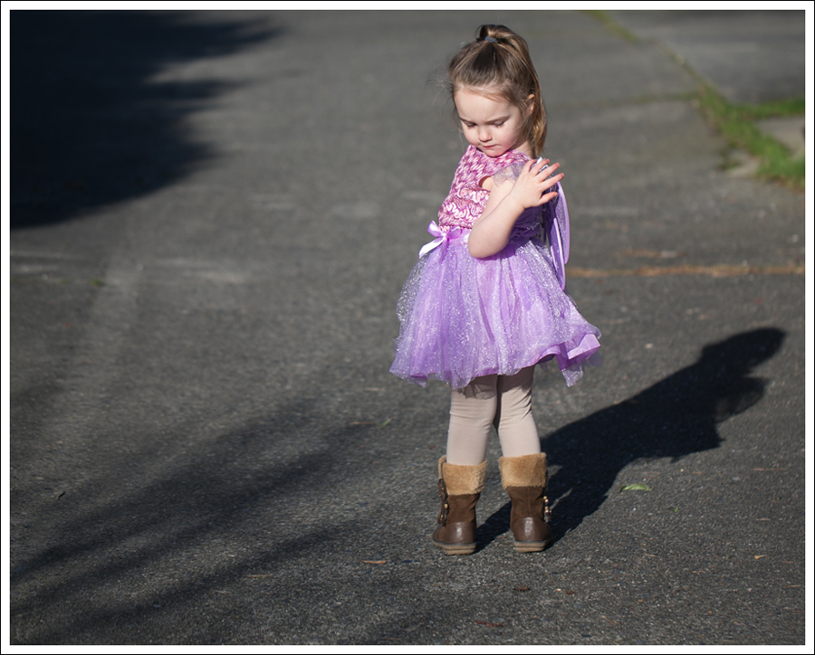 Blog Fairy Costume-6