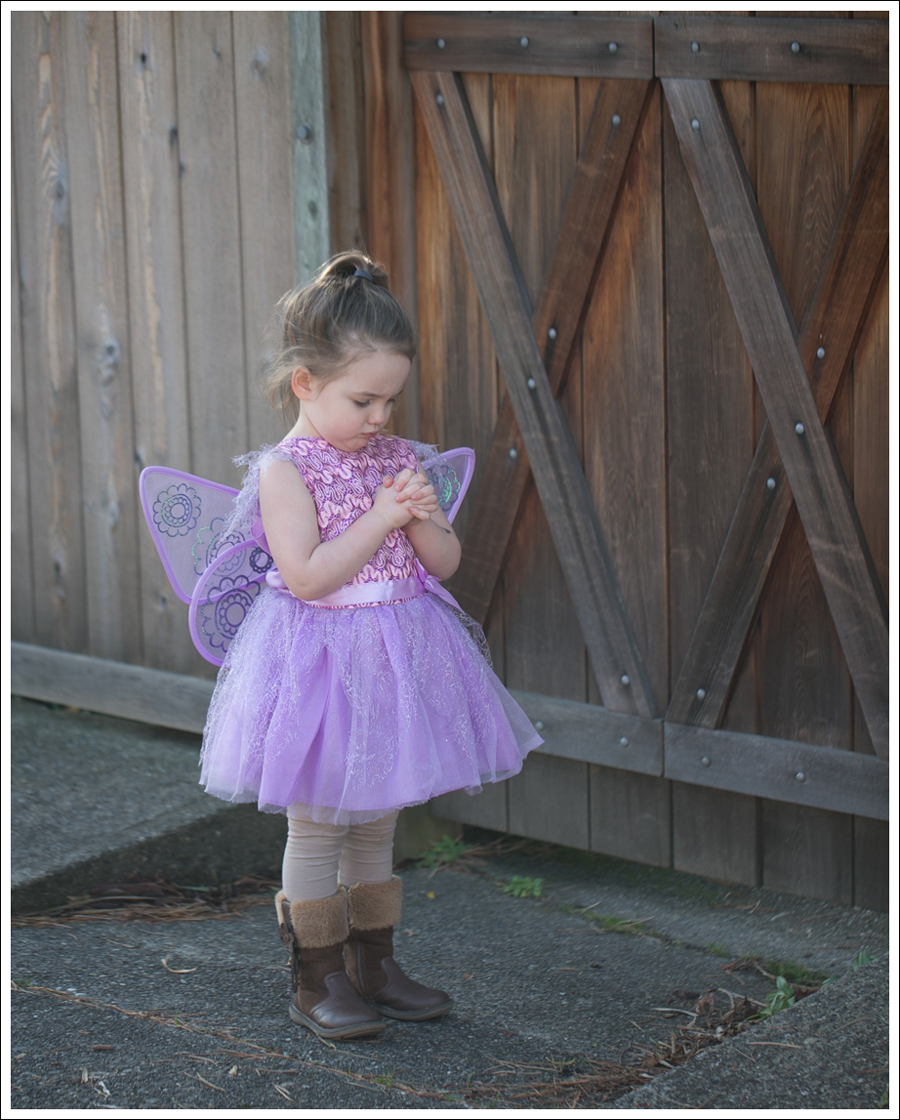 Blog Fairy Costume-7
