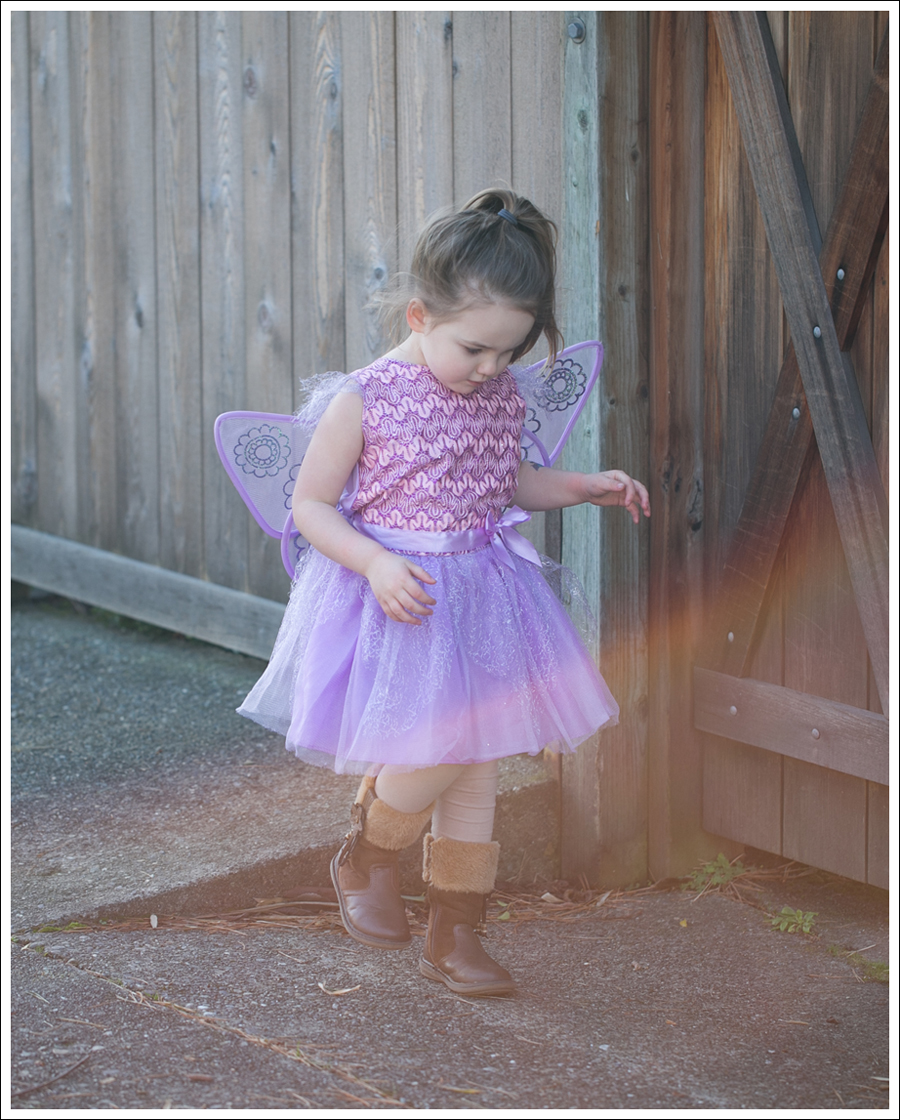 Blog Fairy Costume-8