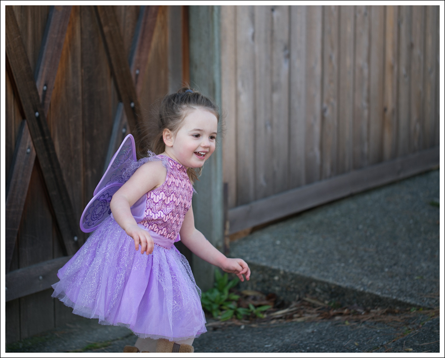 Blog Fairy Costume-9