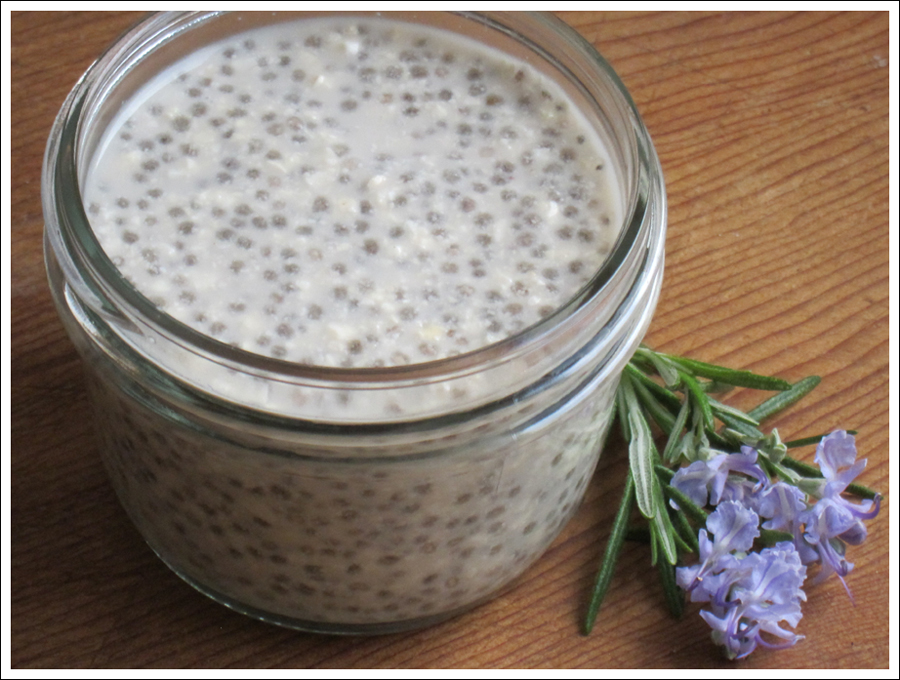 Blog chia tapioca pudding