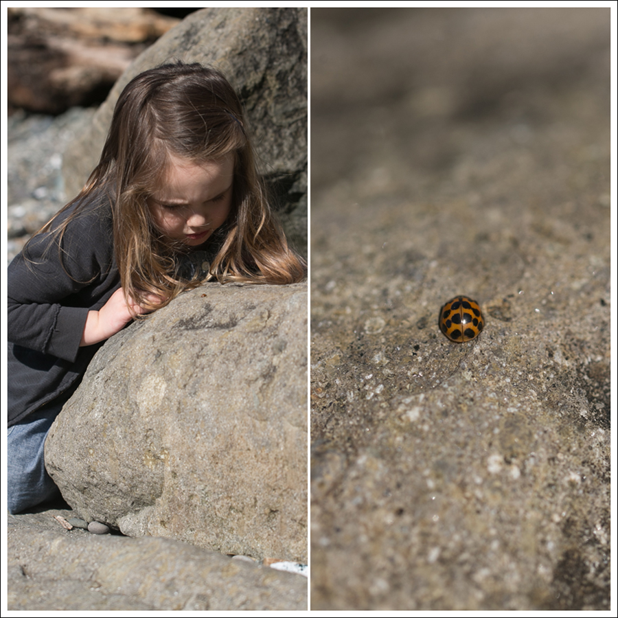 Blog Crewcuts Cardigan and Dress Umi Sandals-