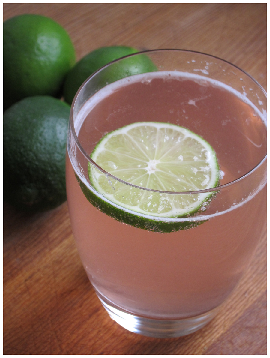 Blog rhubarb spritzer