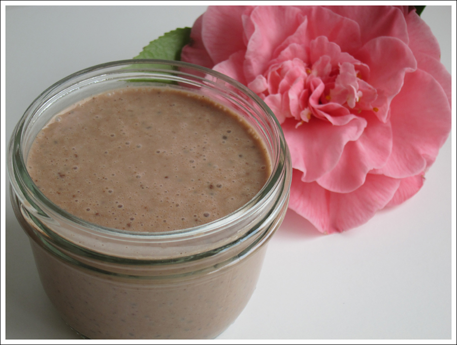 Blog chocolate chia pudding  (2)
