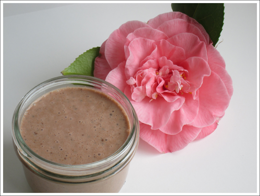 Blog chocolate chia pudding blog (1)
