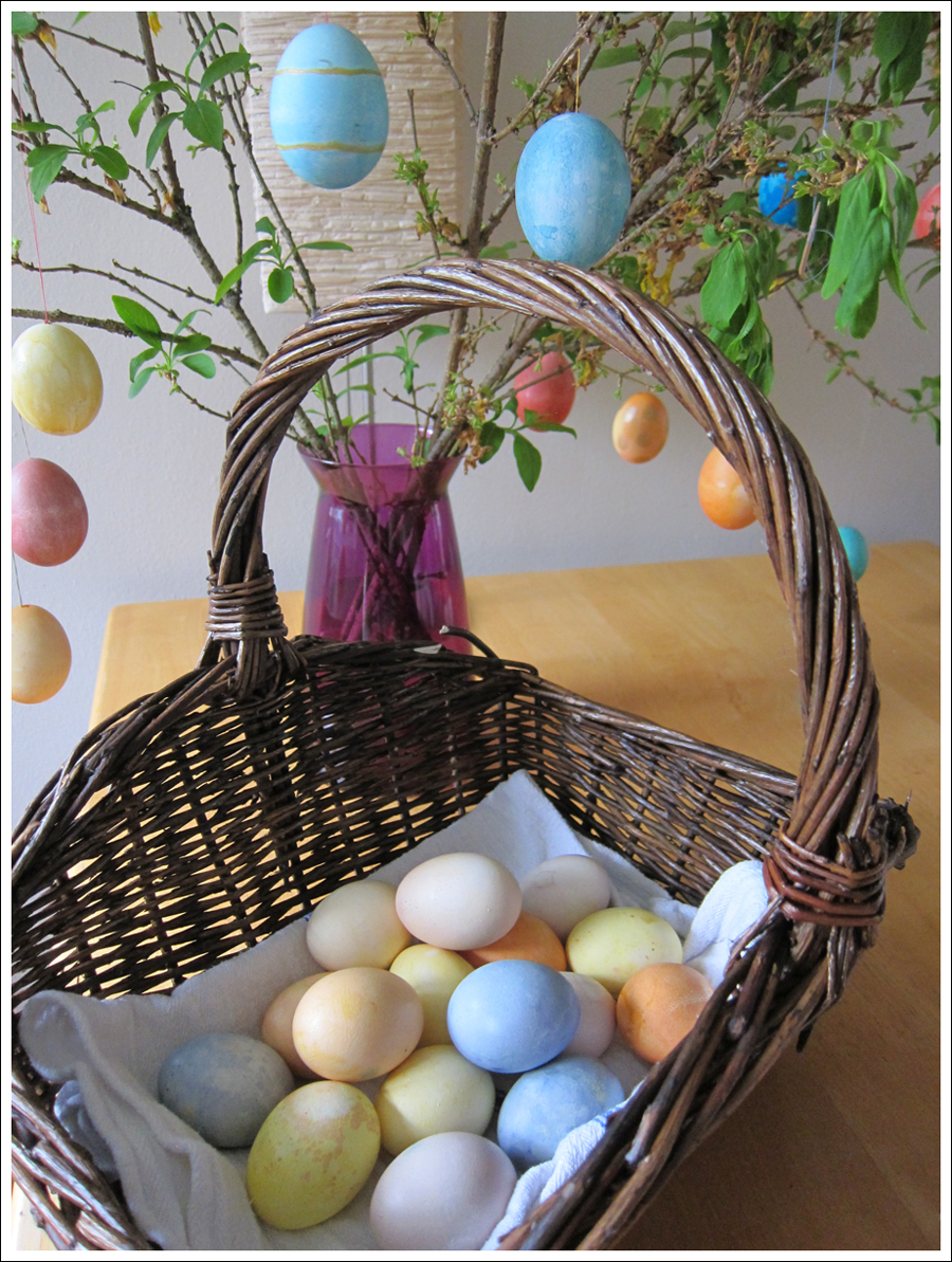 Blog DIY Natural Dyed Easter Eggs-1
