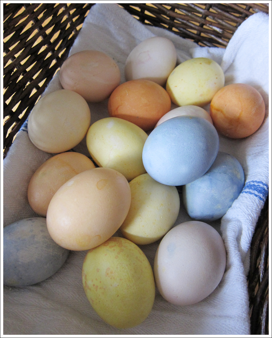Blog DIY Natural Dyed Easter Eggs-2