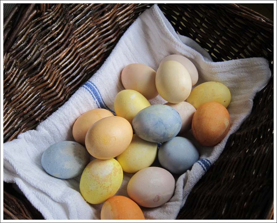 Blog DIY Natural Dyed Easter Eggs-6