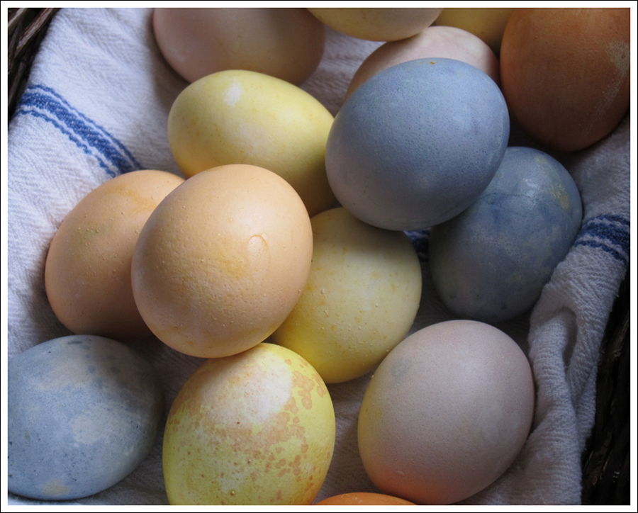 Blog DIY Natural Dyed Easter Eggs-7