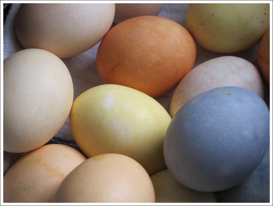 Blog DIY Natural Dyed Easter Eggs-8