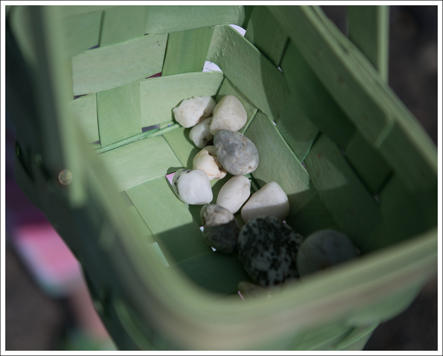 Blog GapKids White Denim Jacket Janie and Jack Plaid Dress Green Saucony Toddler Shoes-2