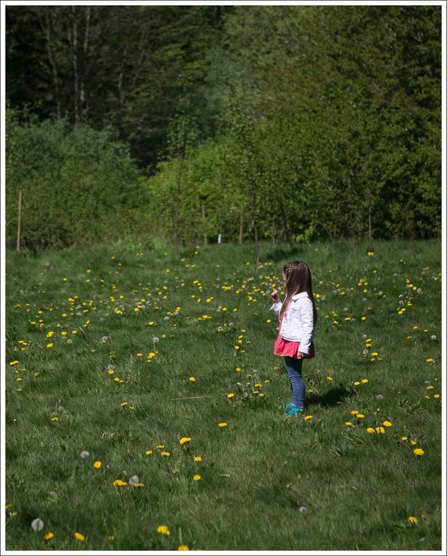 Blog Gapkids white jean jacket M and S top Joes Jeans Skinny Turquoise Superga-21