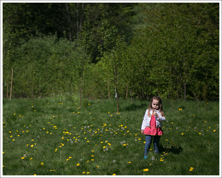 Blog Gapkids white jean jacket M and S top Joes Jeans Skinny Turquoise Superga-22