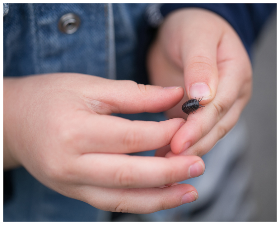 Blog GapKids Denim Vest CrewCuts Striped Tunic Old Navy Leggigs Corral Toddler Square Toe Cowboy Boots-21