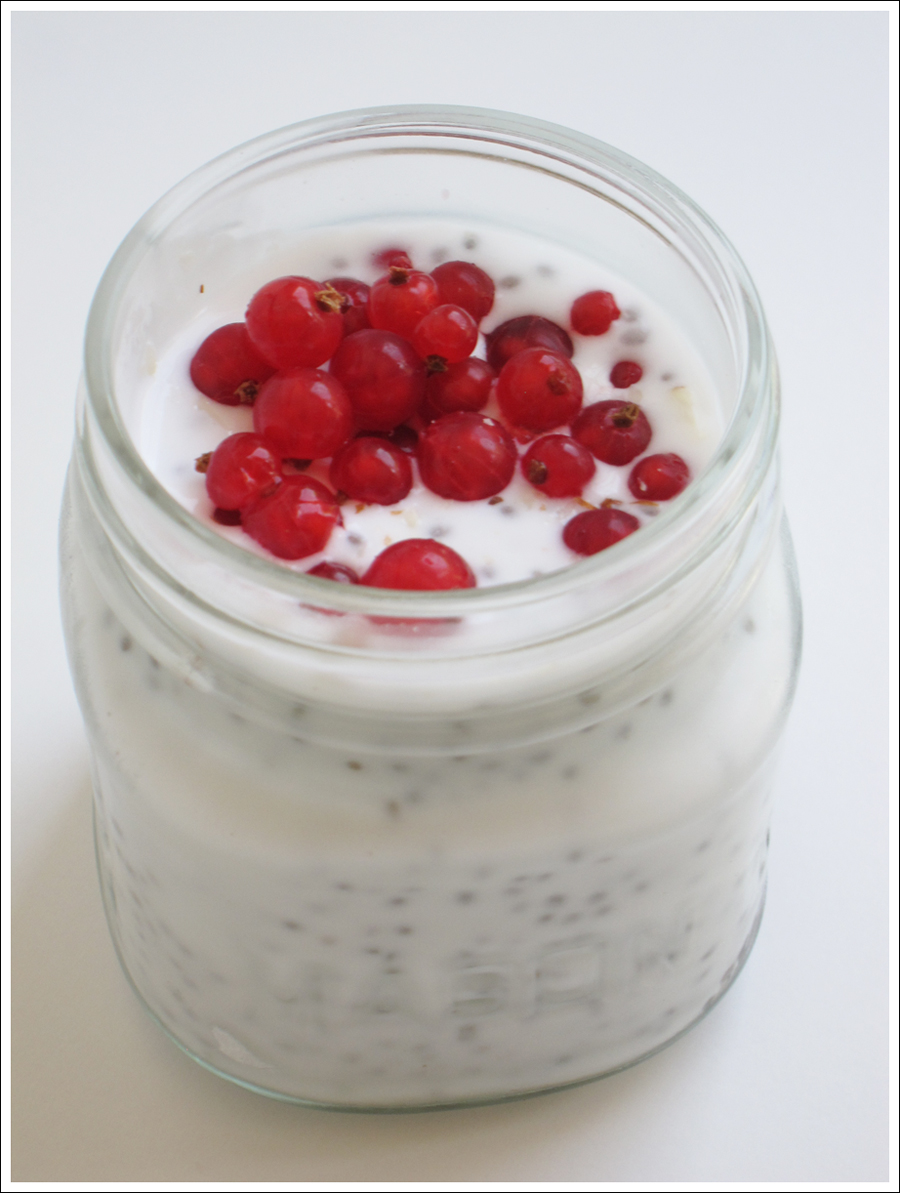 Blog chia pudding series-1