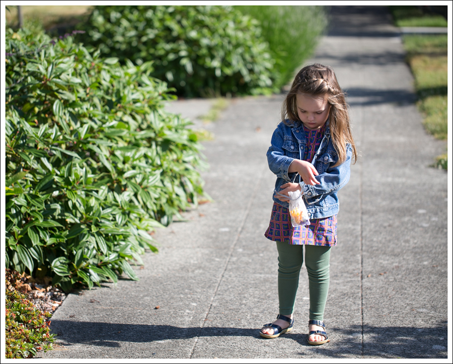 Blog Levis Jacket lilly pulitzer whale dress Navy Saltwater Sandals-1