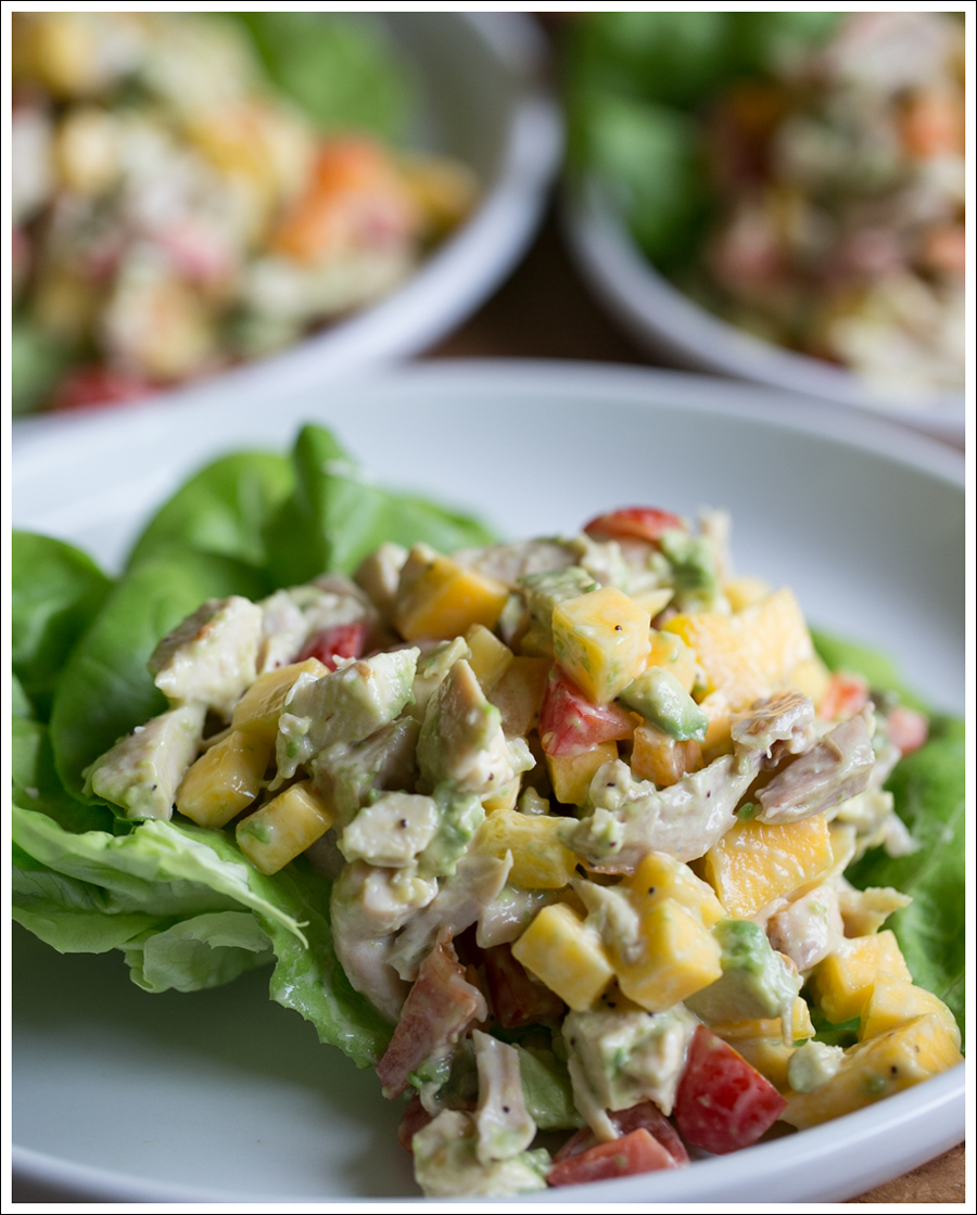 Blog Paleo Mango Avocado Chicken Salad-2