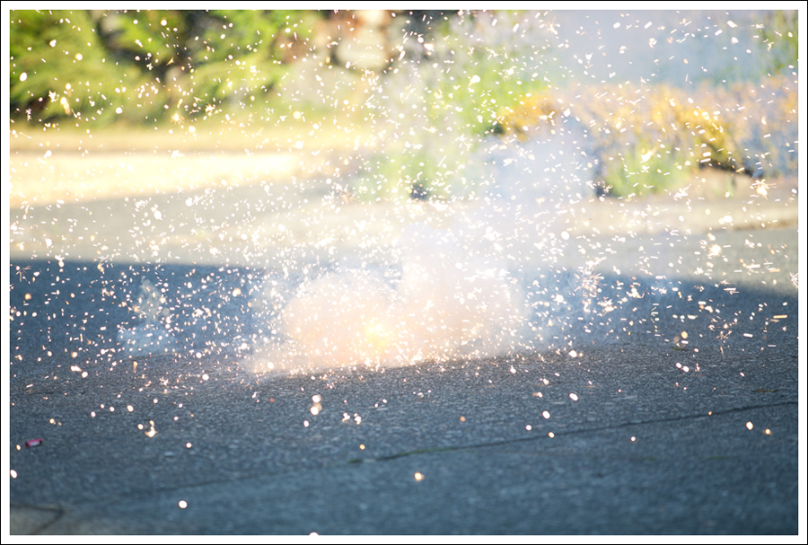 1Blog 4th of July 2015-17