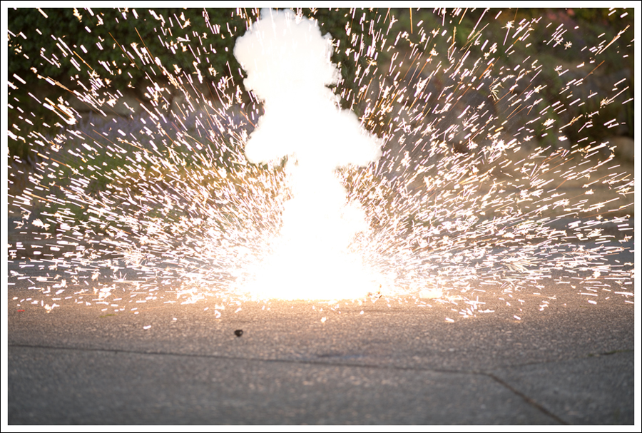 1Blog 4th of July 2015-26