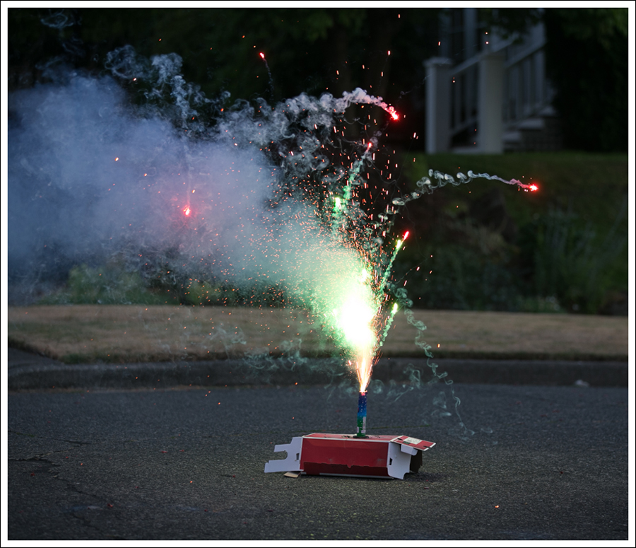 1Blog 4th of July 2015-28