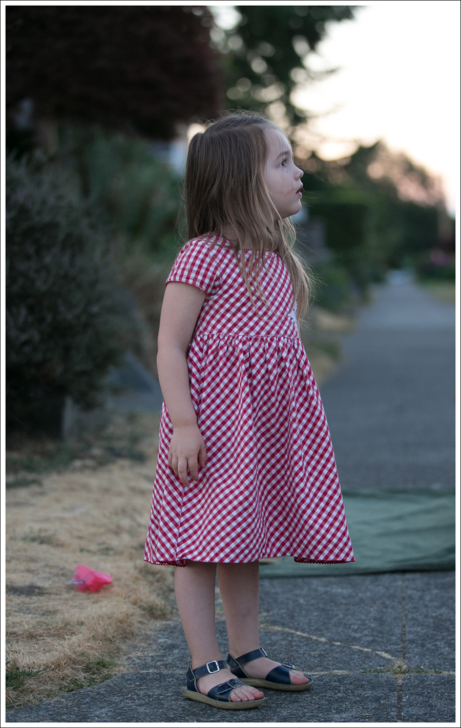 1Blog 4th of July 2015-30