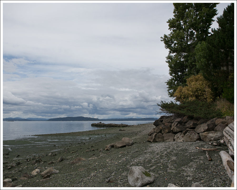 Blog Constellation Park West Seattle