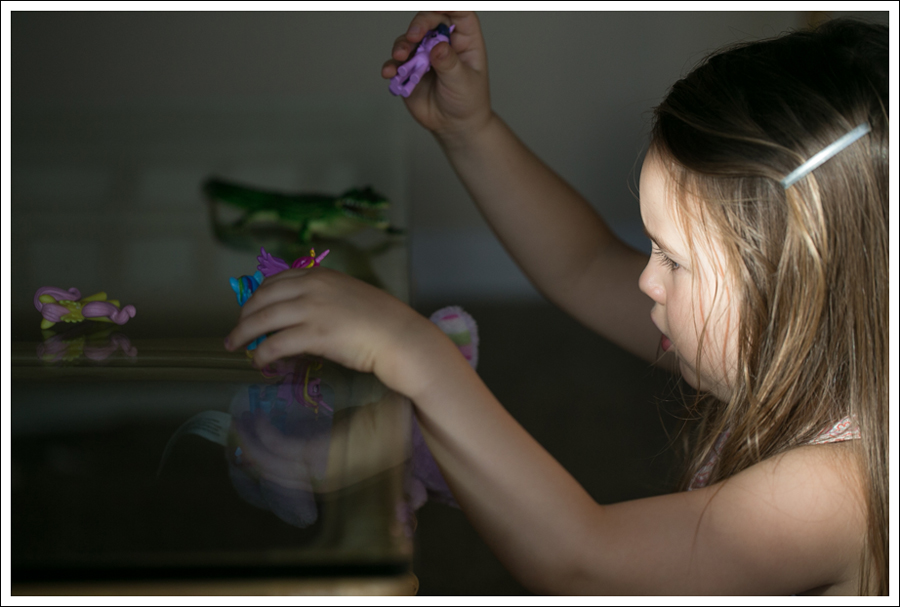 Blog Maui 7-27-2015-1