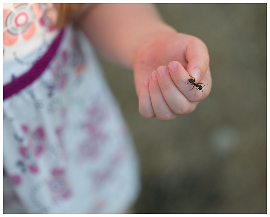 Blog Tea Collection Wrap Neck Mini Dress Navy Saltwater Sun San Sandals-1