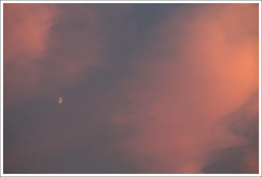 Blog West Seattle Sunset Fog