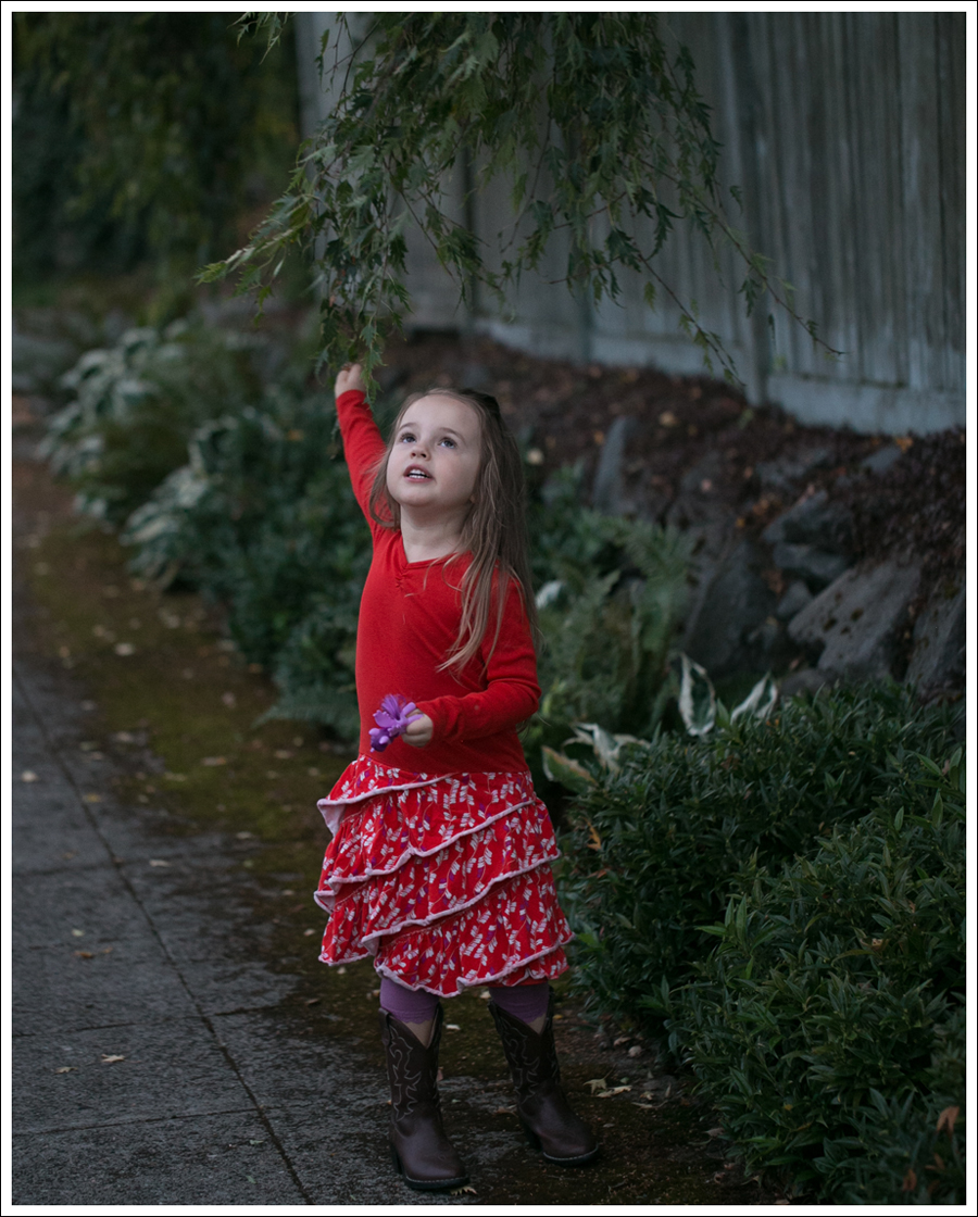 Blog Tea Collection Red tier Dress Faded Glory Cowboy Boots-5