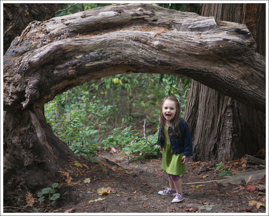 Blog GapKids Dark Denim Jacket Picaflor Julia Peasant Dress Purple Floral Converse-2