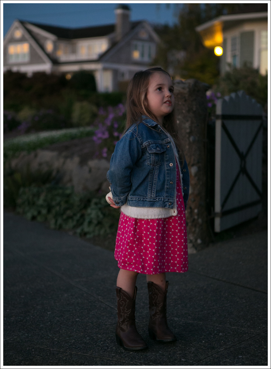 Blog Levis Jacket Old Navy Cardigan and Dress Faded Glory Cowboy Boots-3