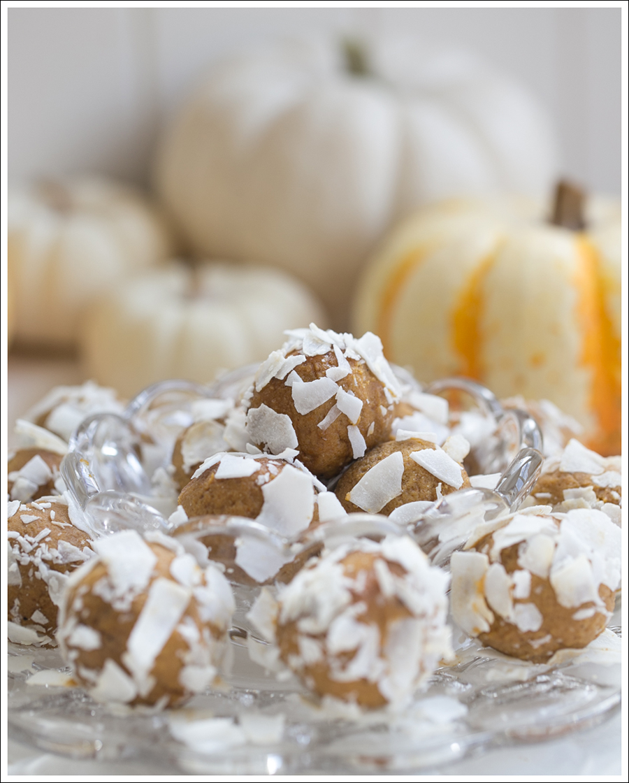 Blog Paleo Pumkin Protein Balls with Coconut-1