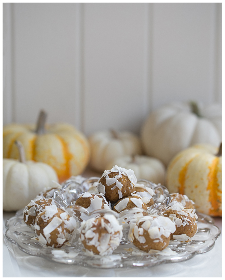 Blog Paleo Pumkin Protein Balls with Coconut-2