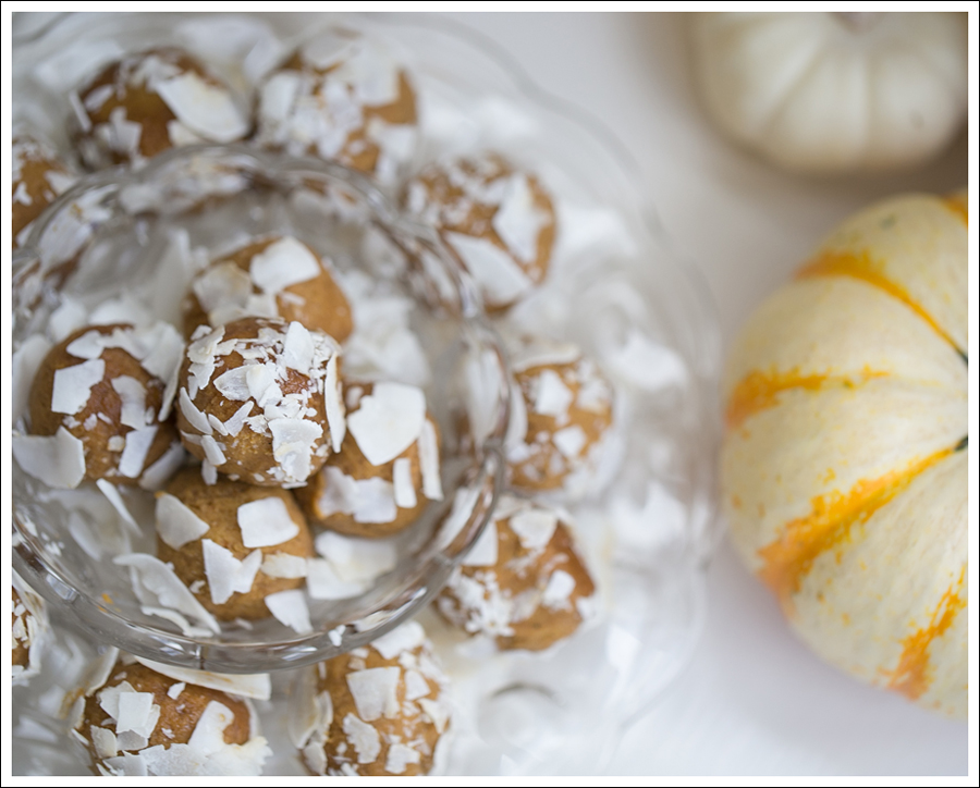 Blog Paleo Pumkin Protein Balls with Coconut-3