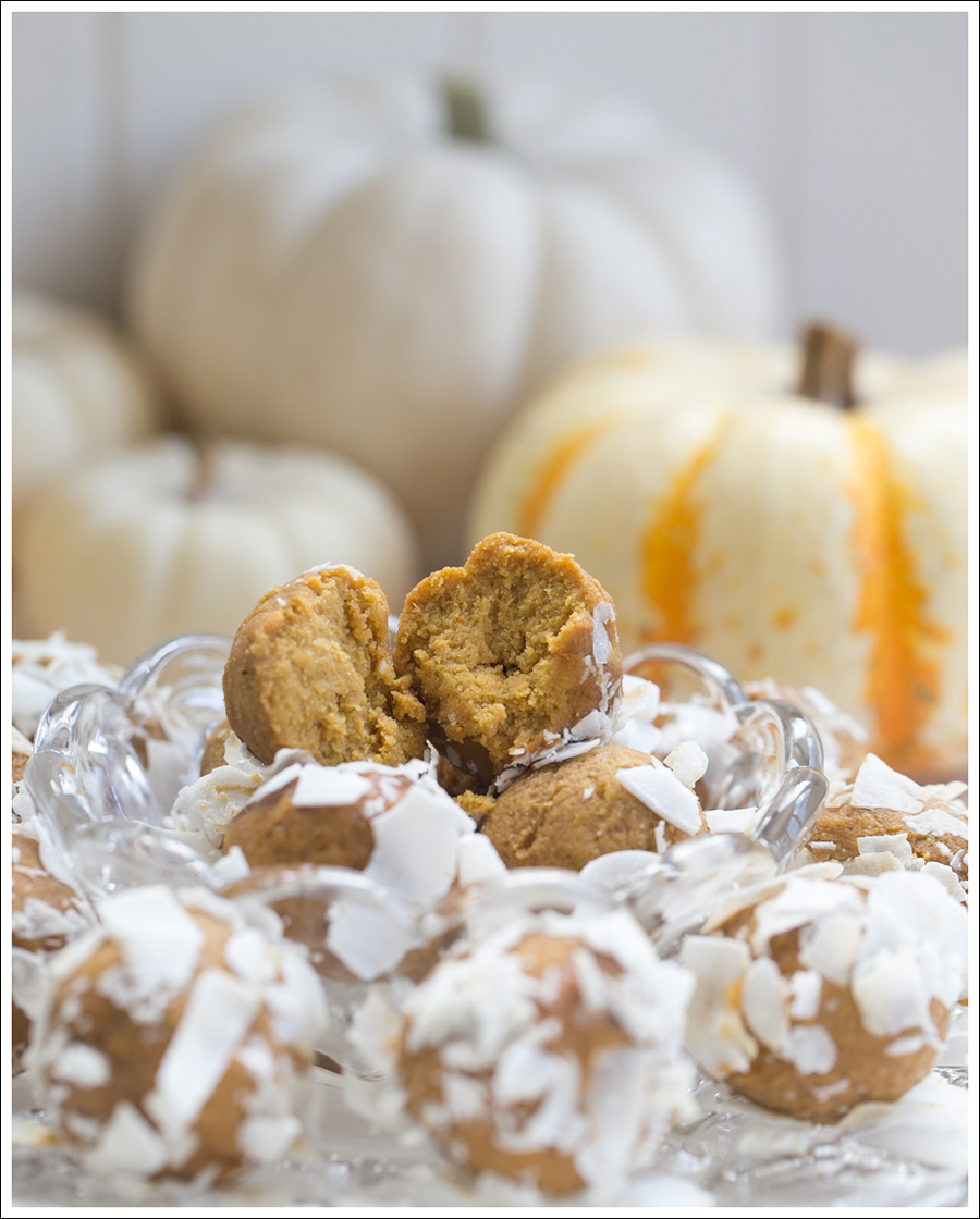 Blog Paleo Pumkin Protein Balls with Coconut-4