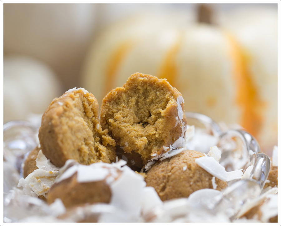 Blog Paleo Pumkin Protein Balls with Coconut-5