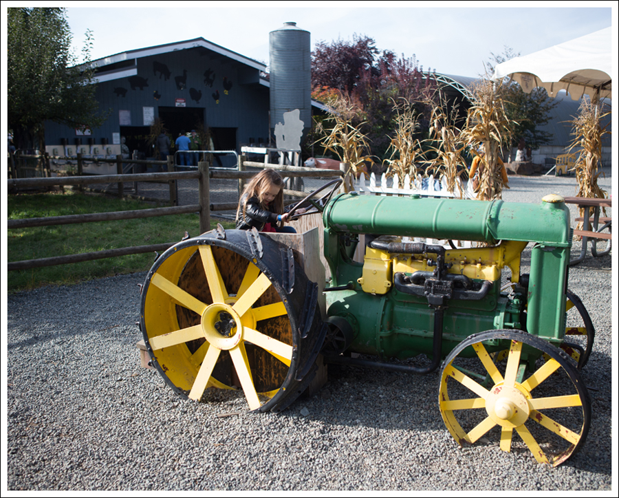 Blog Remilinger Farm Fall Festival-11
