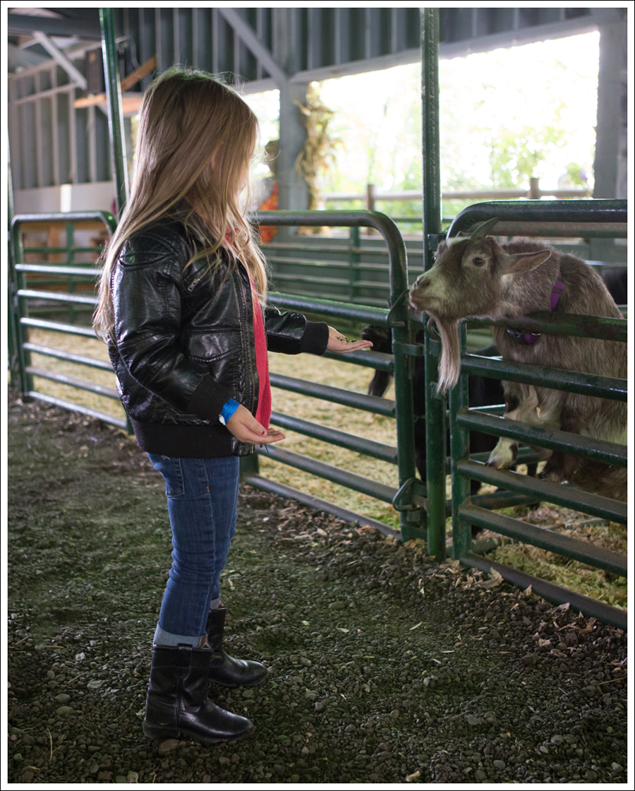 Blog Remilinger Farm Fall Festival-12