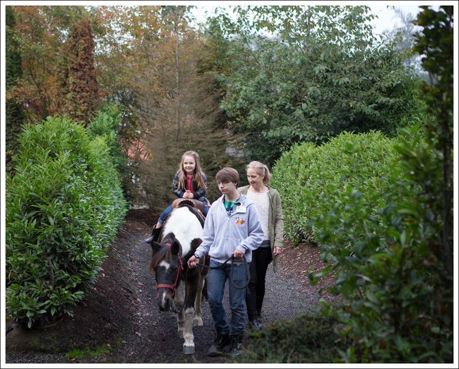 Blog Remilinger Farm Fall Festival-2