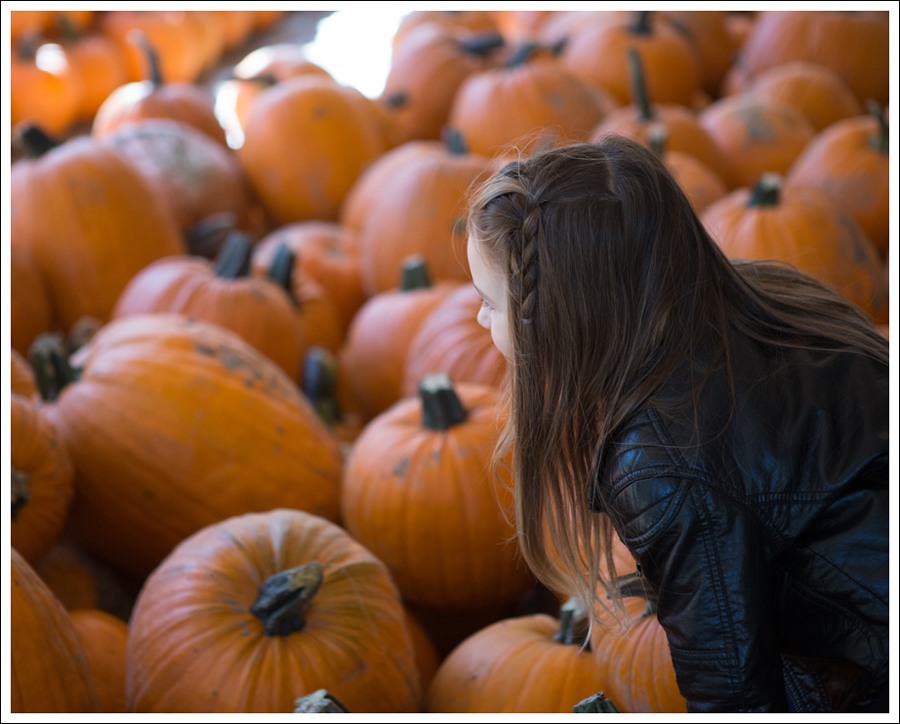 Blog Remilinger Farm Fall Festival-20